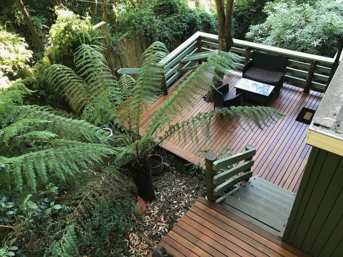 Sassafras Treehouse Private Home In The Dandenong Ranges, Victoria Dış mekan fotoğraf