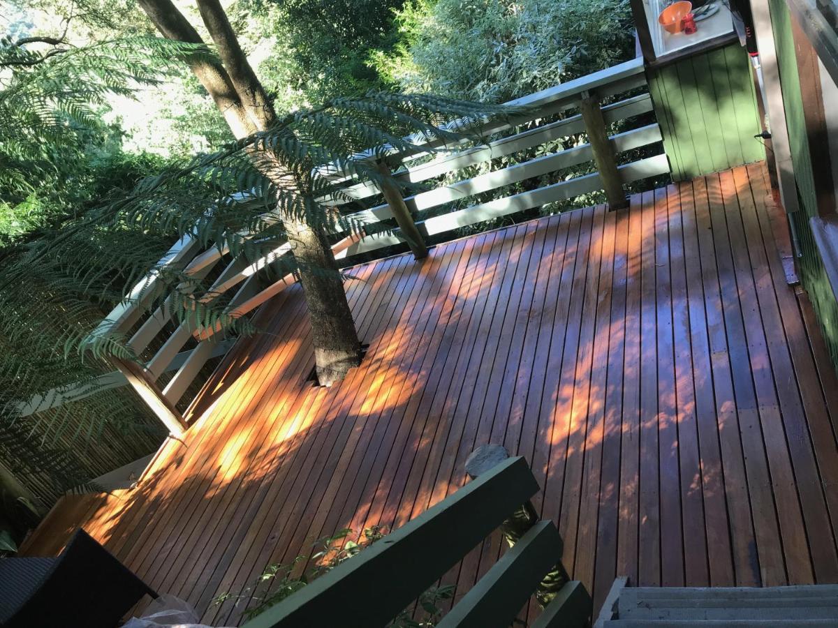 Sassafras Treehouse Private Home In The Dandenong Ranges, Victoria Dış mekan fotoğraf