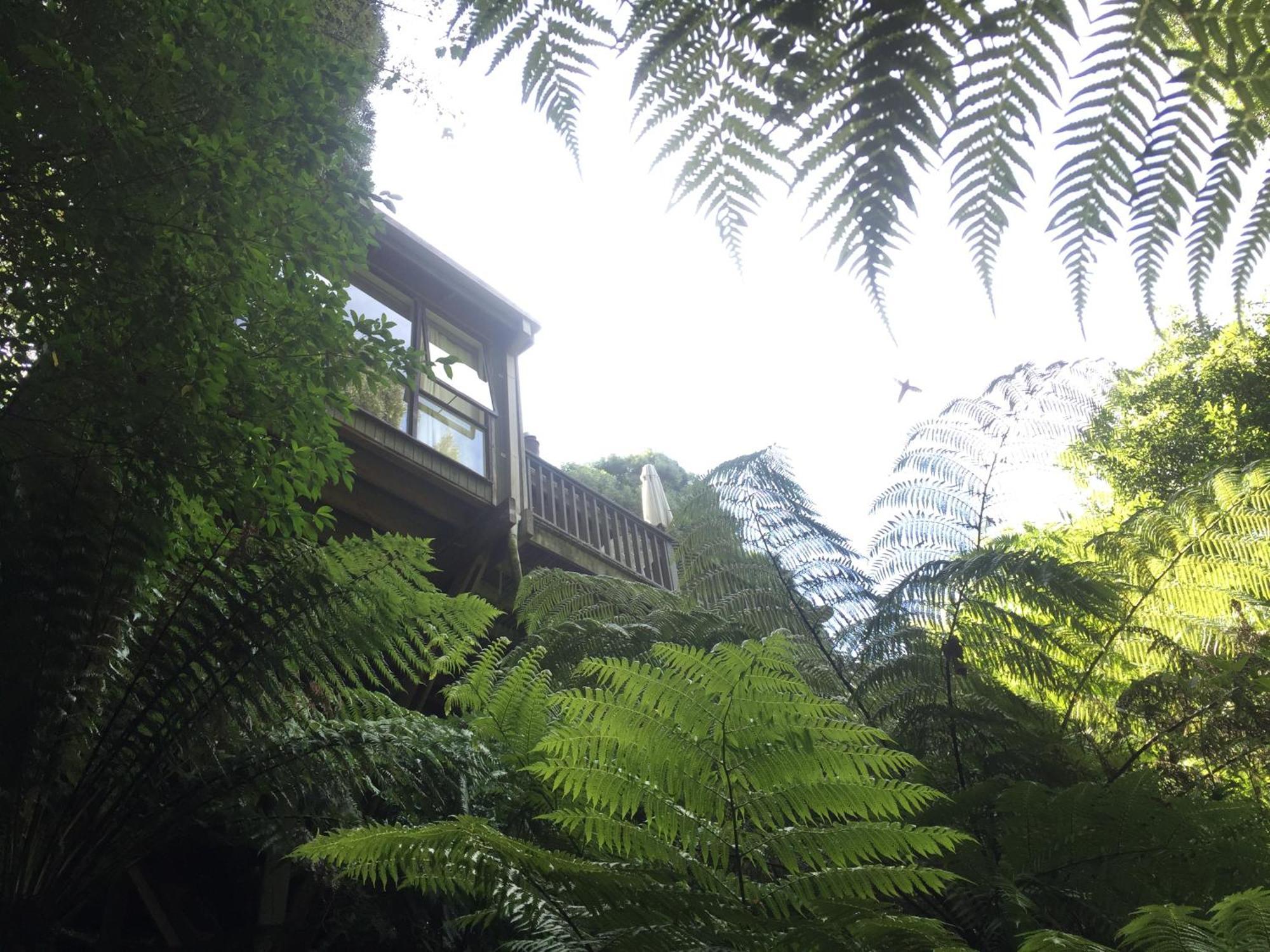 Sassafras Treehouse Private Home In The Dandenong Ranges, Victoria Dış mekan fotoğraf