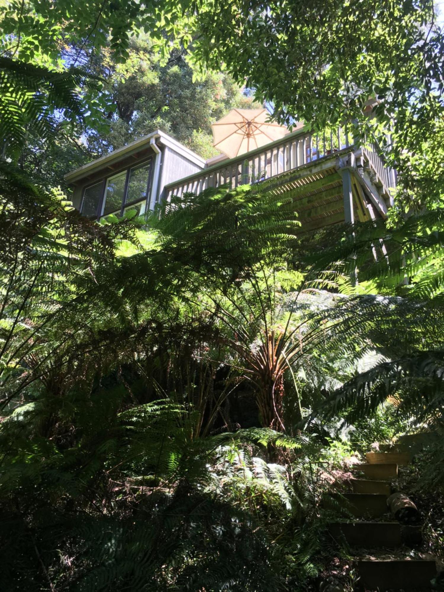 Sassafras Treehouse Private Home In The Dandenong Ranges, Victoria Dış mekan fotoğraf