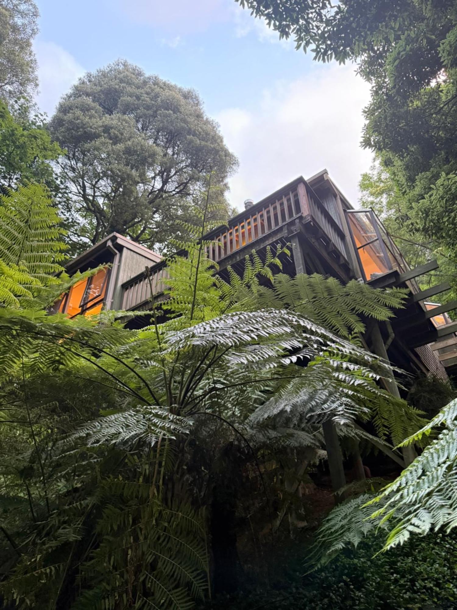 Sassafras Treehouse Private Home In The Dandenong Ranges, Victoria Dış mekan fotoğraf