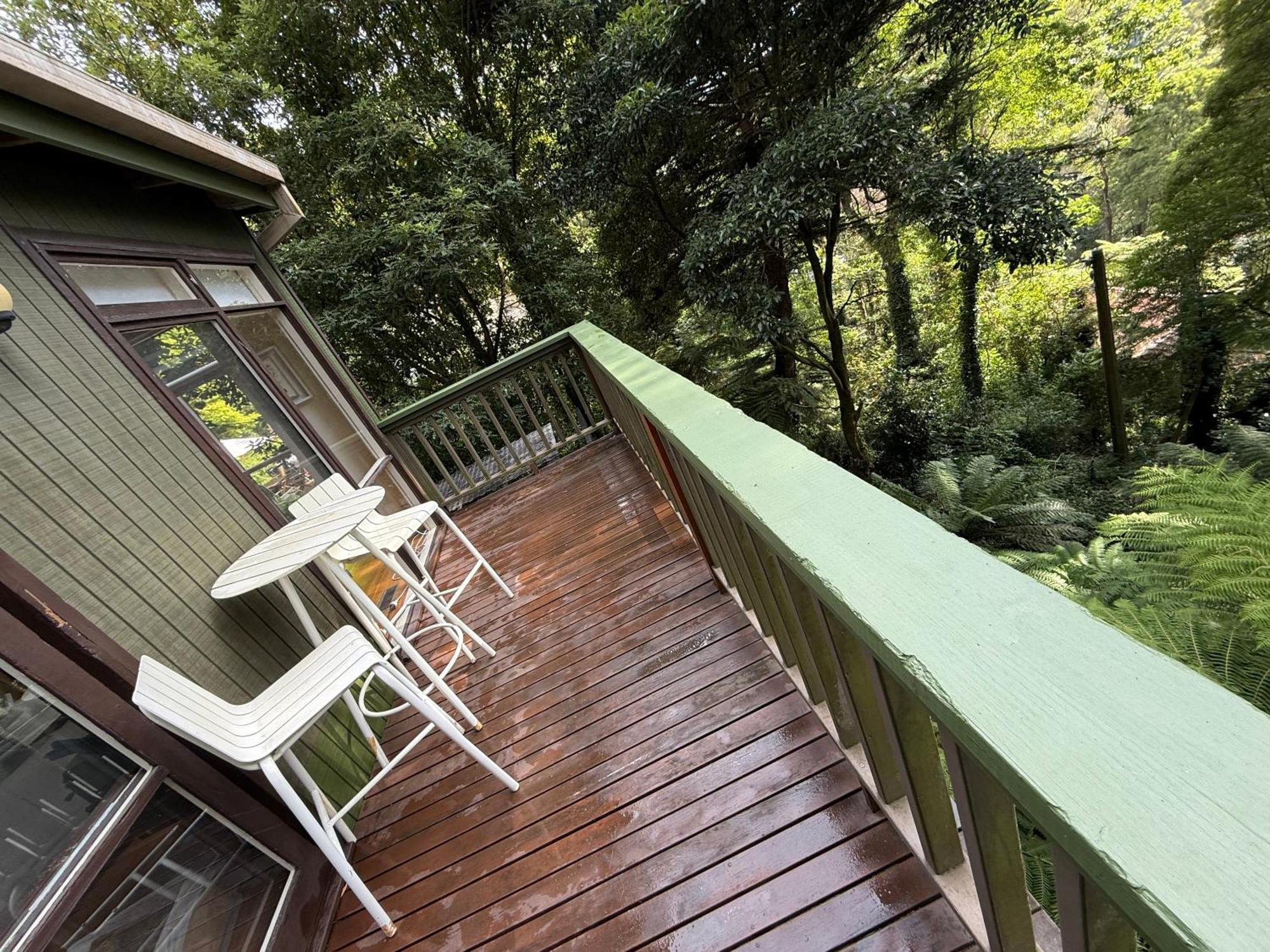 Sassafras Treehouse Private Home In The Dandenong Ranges, Victoria Dış mekan fotoğraf