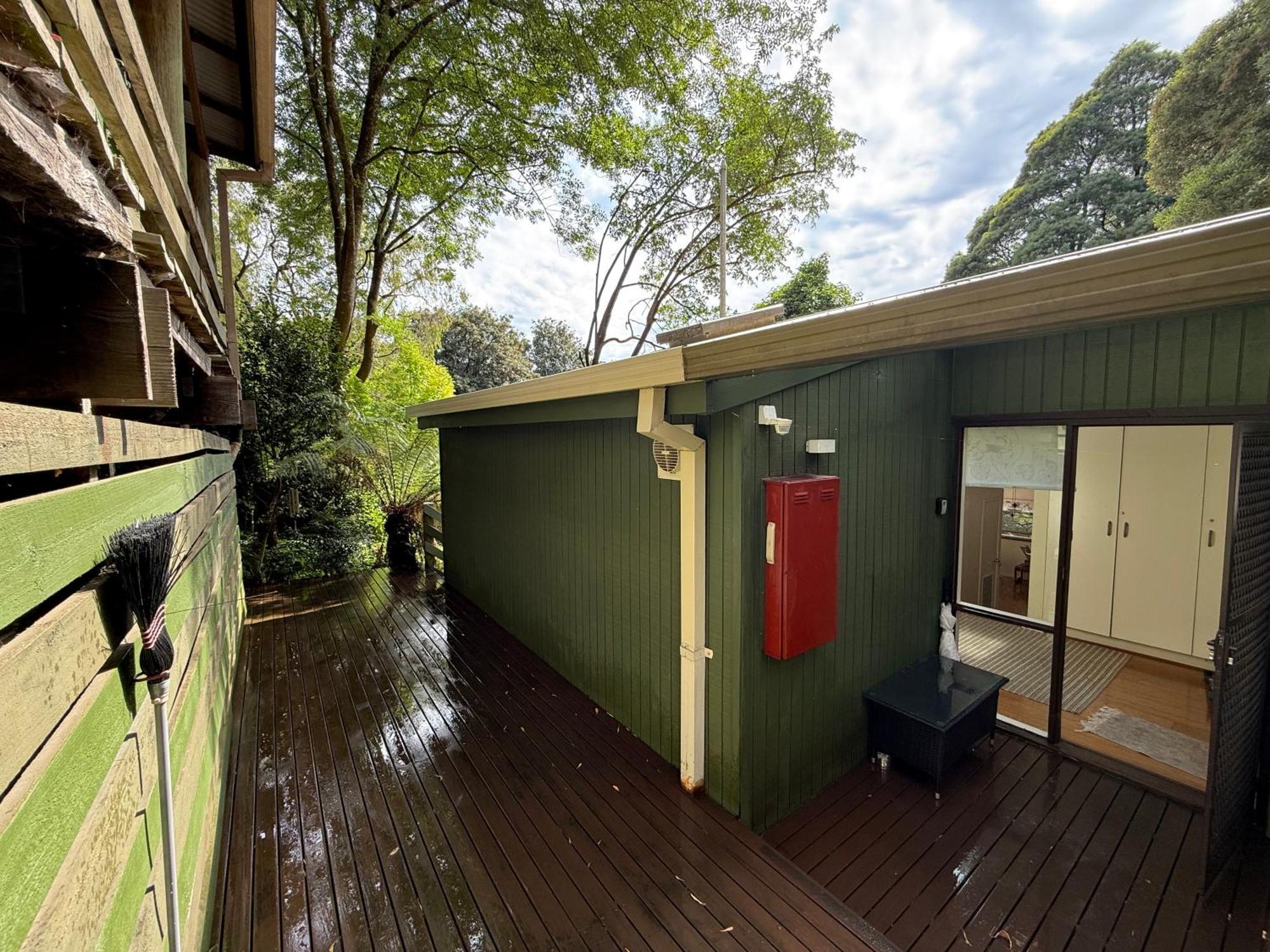 Sassafras Treehouse Private Home In The Dandenong Ranges, Victoria Dış mekan fotoğraf