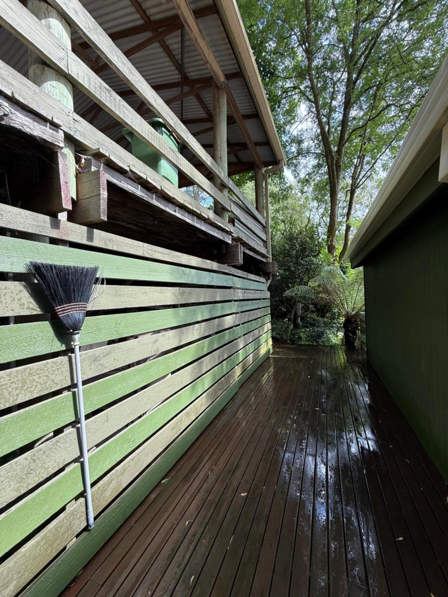 Sassafras Treehouse Private Home In The Dandenong Ranges, Victoria Dış mekan fotoğraf
