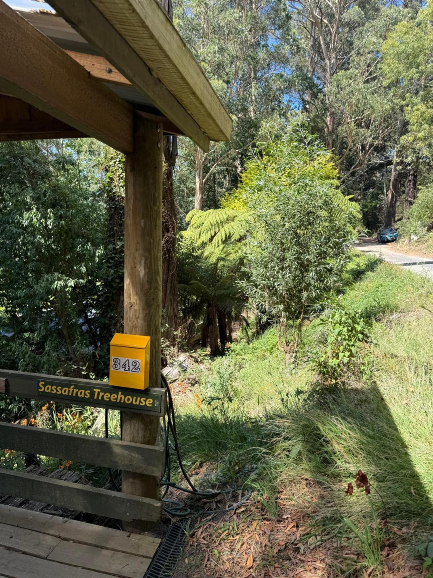Sassafras Treehouse Private Home In The Dandenong Ranges, Victoria Dış mekan fotoğraf