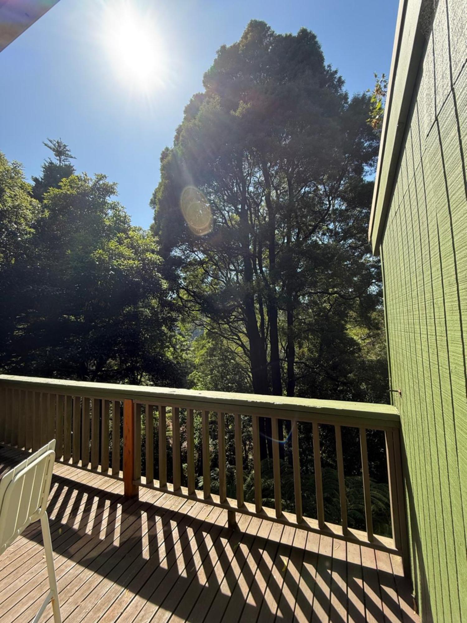 Sassafras Treehouse Private Home In The Dandenong Ranges, Victoria Dış mekan fotoğraf